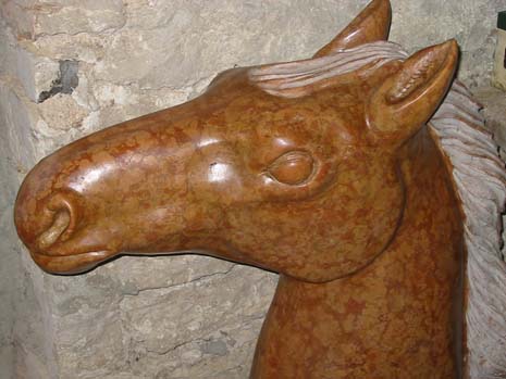 Testa di cavallo